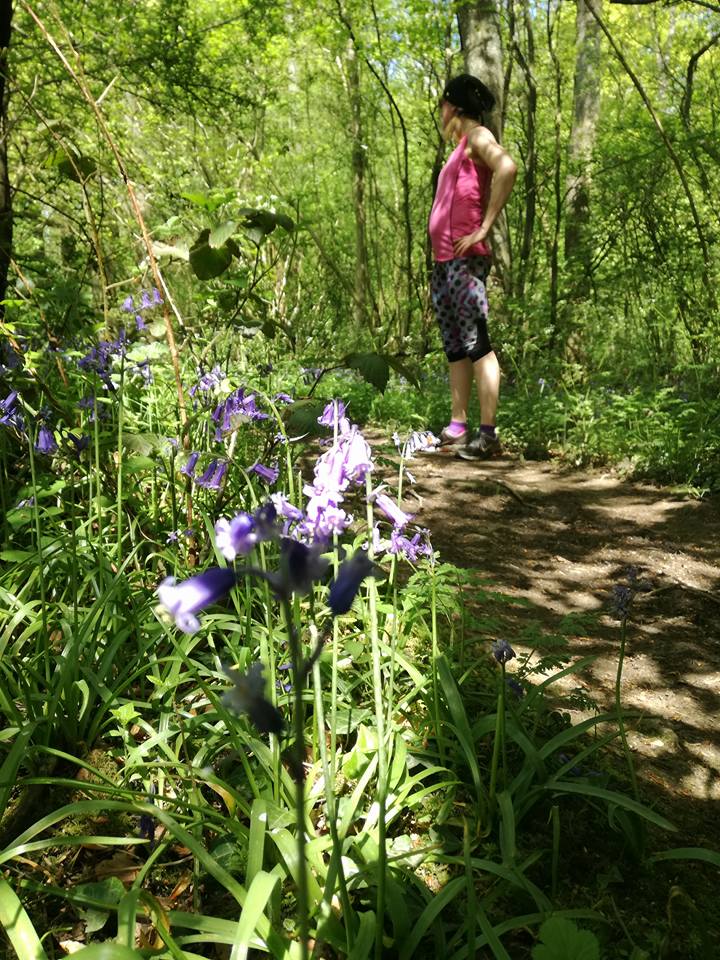 Some bluebells